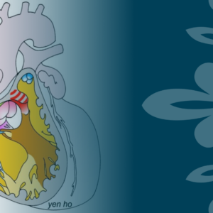 Morphology of congenital heart defects made simple