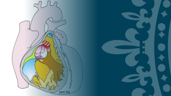 Morphology of congenital heart defects made simple